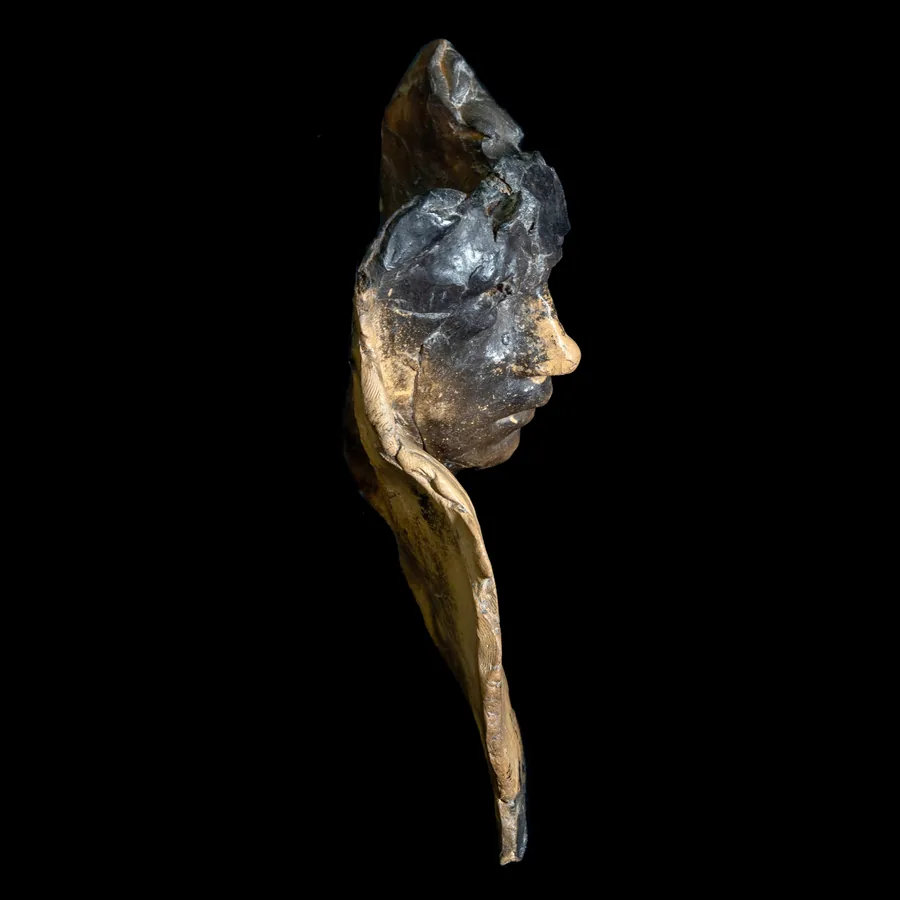 portrait study ii, side view showing the thin shell of terracotta