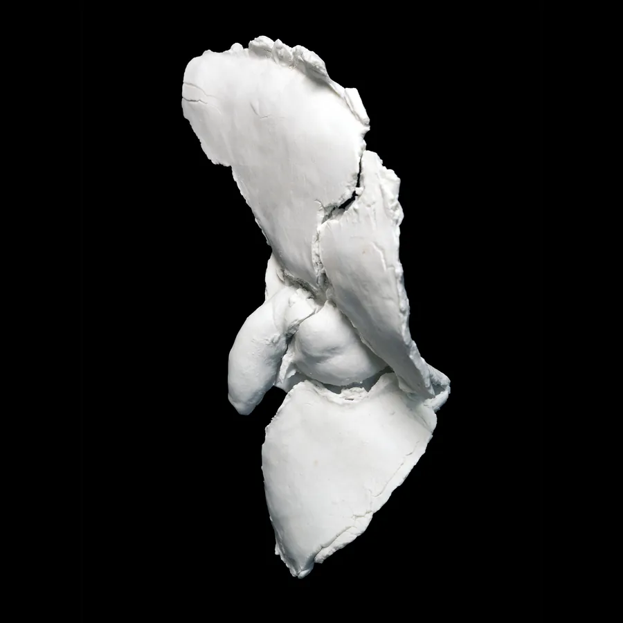 pudor, white porcelain pelvis fragment, three-quarter view