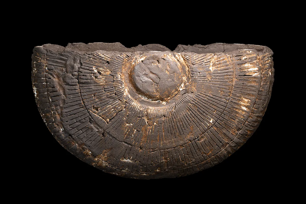 fan form 3, half-round vessel in vulcan black clay with a radiating relief, finished in porcelain slip, front